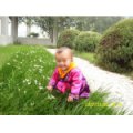 淮安市楚州區(qū)淮城鎮(zhèn)下關(guān)小學幼兒園
