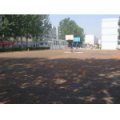 聊城市第二實(shí)驗(yàn)小學(xué)（聊城實(shí)驗(yàn)二?。?></a></dt>
      <dd>
      <p><a href=