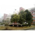 安徽省霍邱縣第一中學（霍邱一中）